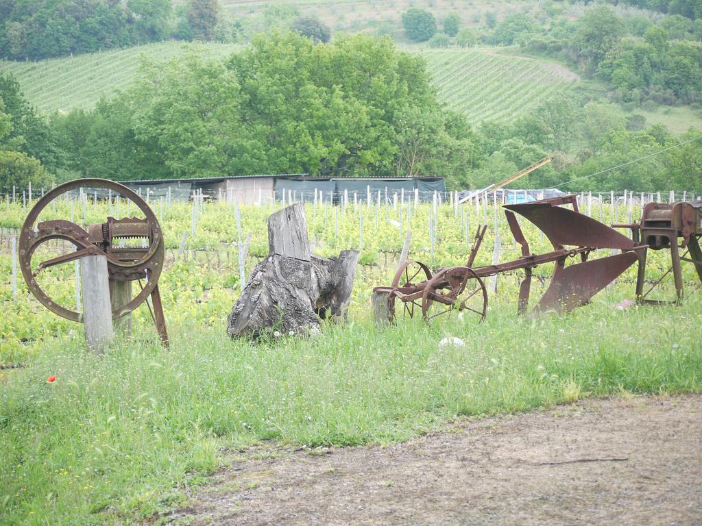 Azienda Agricola Polveraia Сан-Джиминьяно Экстерьер фото