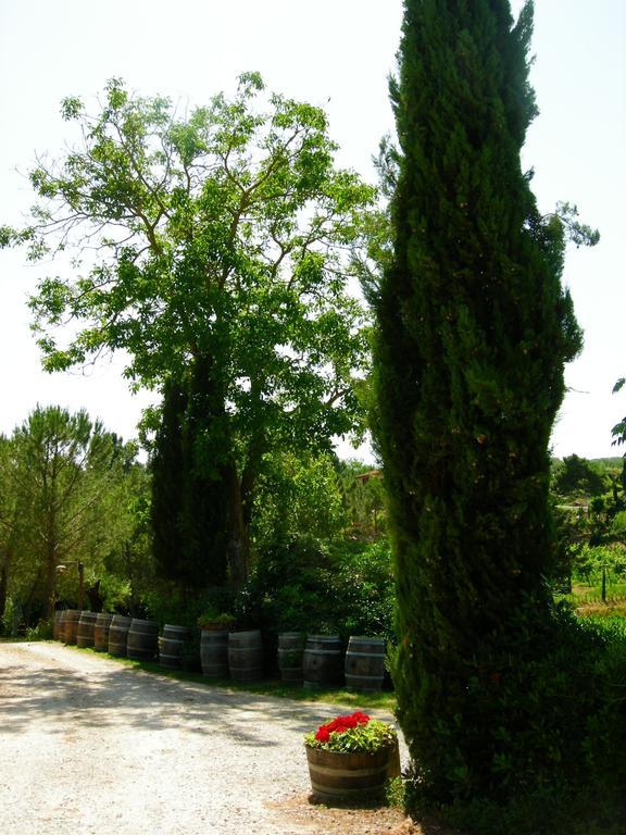 Azienda Agricola Polveraia Сан-Джиминьяно Экстерьер фото