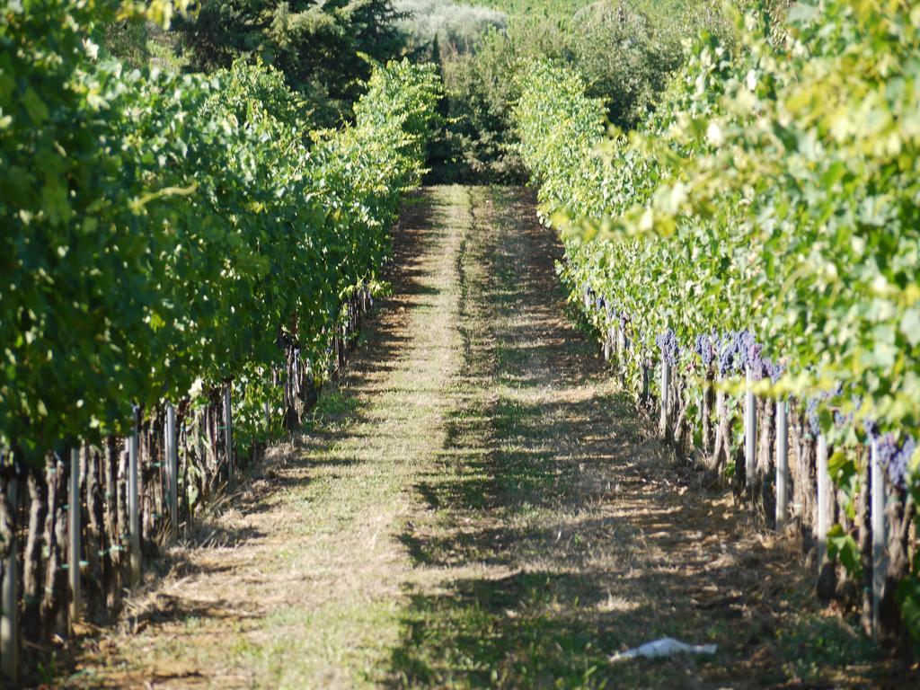 Azienda Agricola Polveraia Сан-Джиминьяно Экстерьер фото