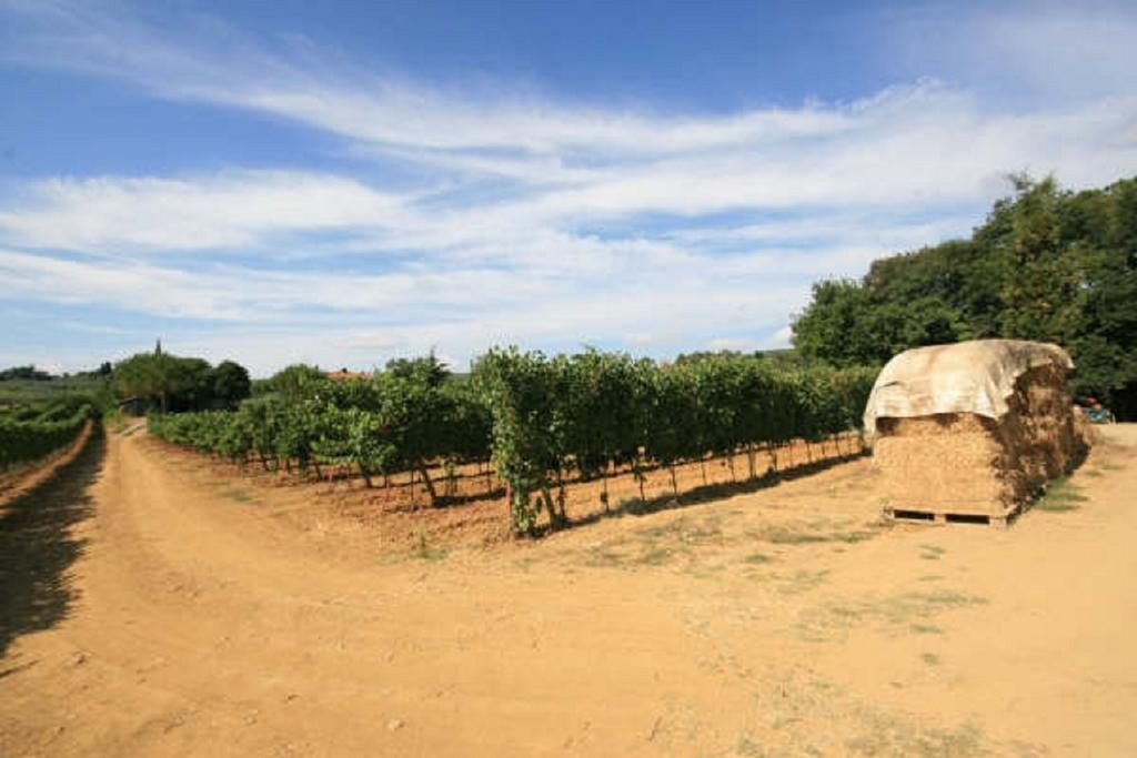 Azienda Agricola Polveraia Сан-Джиминьяно Экстерьер фото